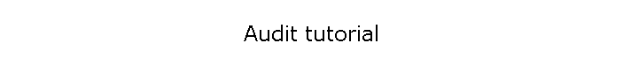 Audit tutorial
